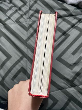 Carlota y el misterio del canario robado: