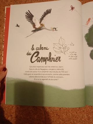 Le concours de canabes
