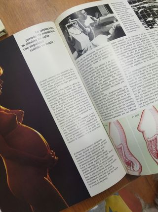 Libros a 4