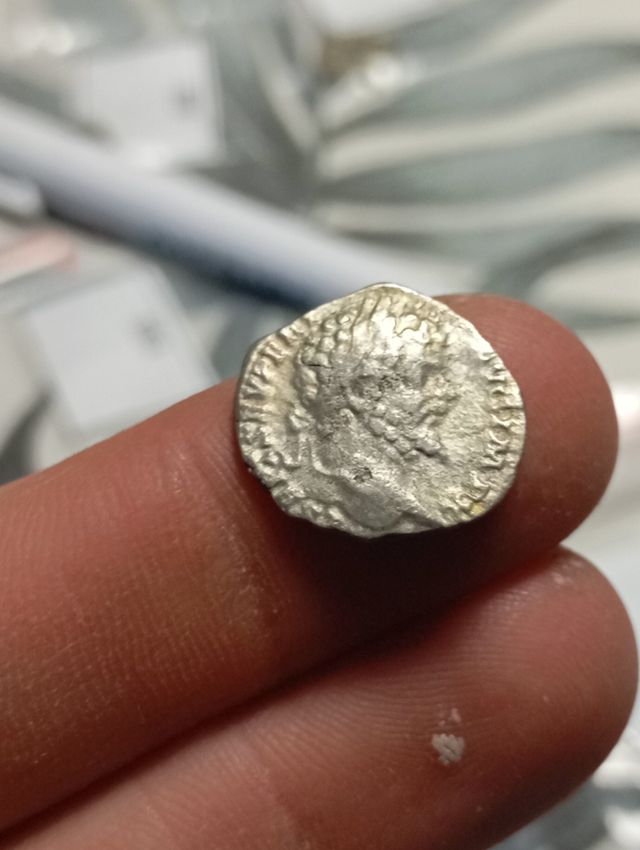 Moneda Romana Denario Septimo Severo