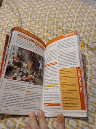 Guida turistica Francoforte