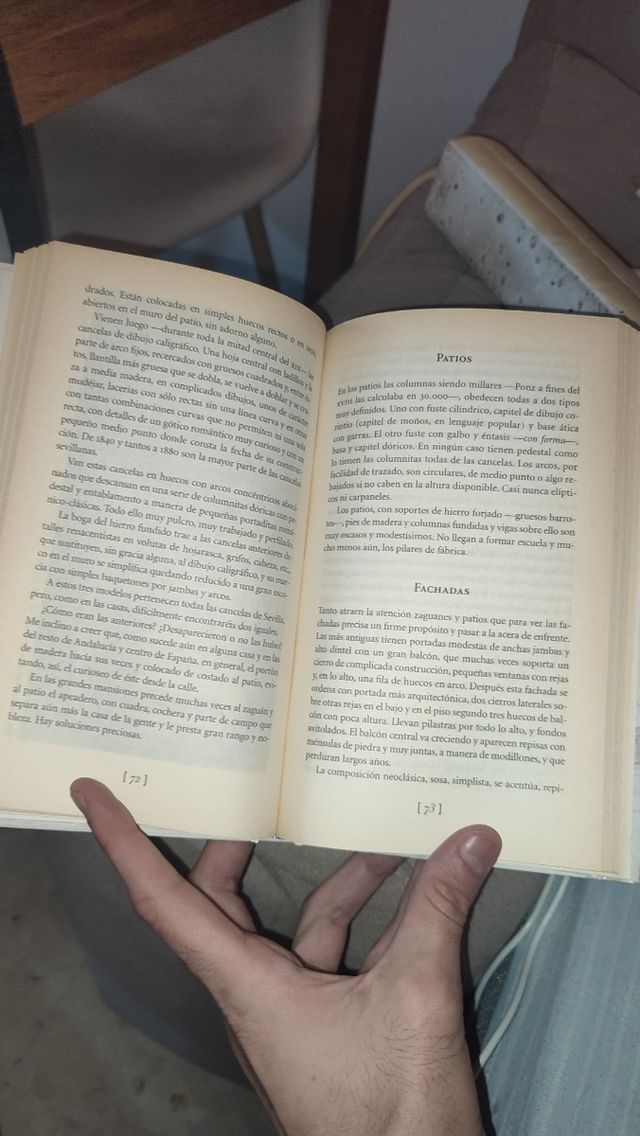 Libro casas y calles de sevilla