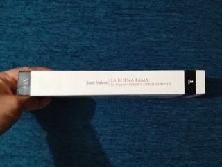 La buena fama, el pájaro verde y otros cuentos (Clásicos del siglo XIX) (Spanish Edition)