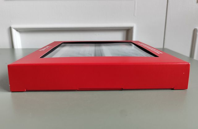 PRECINTADO Mandos NES para Nintendo Switch