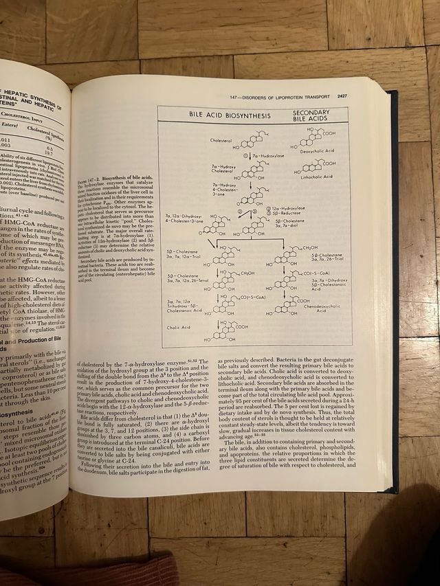 Endocrinology DeGroot