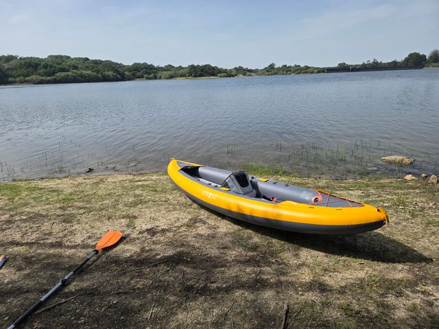 Caique itiwit x100 2 pax