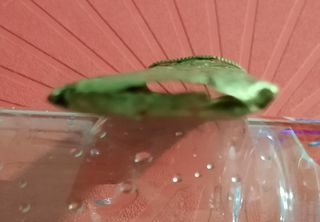 Cuchillo antiguo de China ORIGINAL