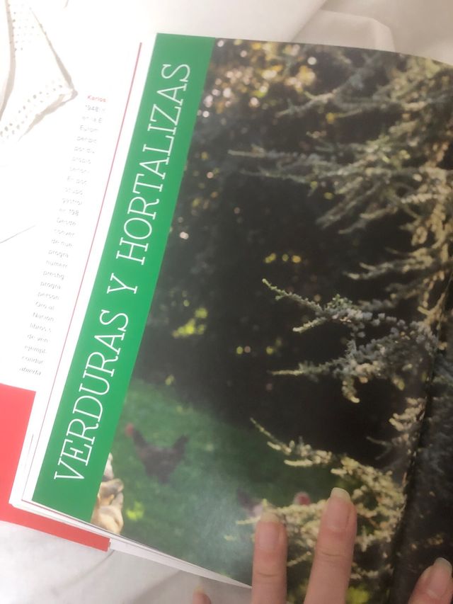 Libro de cocina Arguiñano