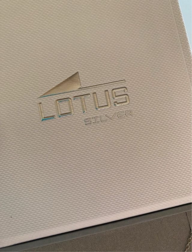 Collar Plata de Ley mundo