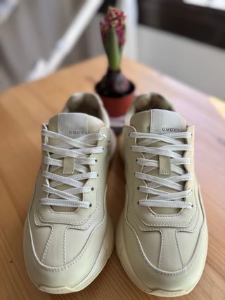 Zapatillas GUCCI PHYTON