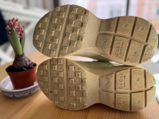 Zapatillas GUCCI PHYTON