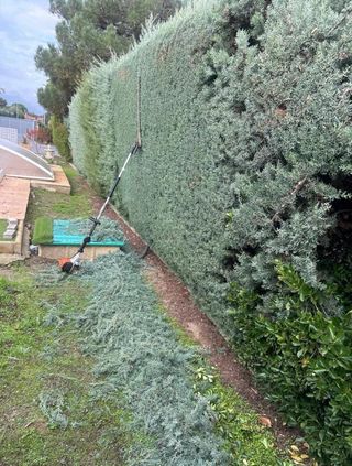 Desbroce parcelas - 632 47 25 73