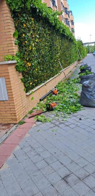 Desbroce parcelas - 632 47 25 73