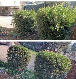 Desbroce parcelas - 632 47 25 73