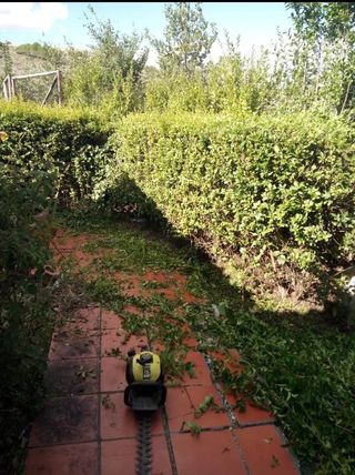 Desbroce parcelas - 632 47 25 73