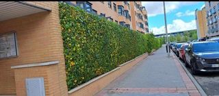 Desbroce parcelas - 632 47 25 73