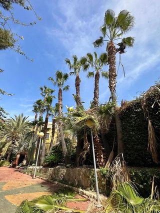 Desbroce parcelas - 632 47 25 73