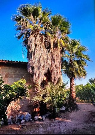 Desbroce parcelas - 632 47 25 73