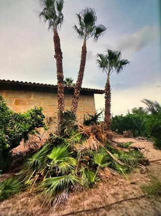 Desbroce parcelas - 632 47 25 73