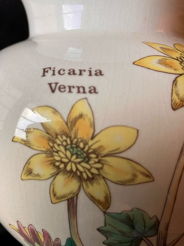 Vaso Florabumda England