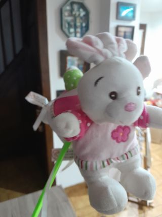 Coppia di peluche 