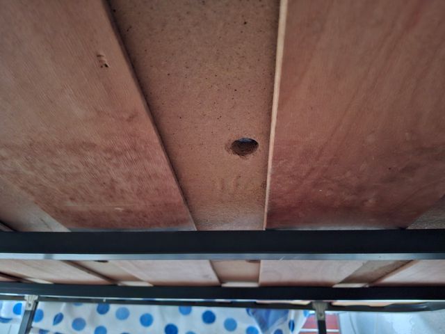 Cama, somier de láminas + colchón de muelles inter