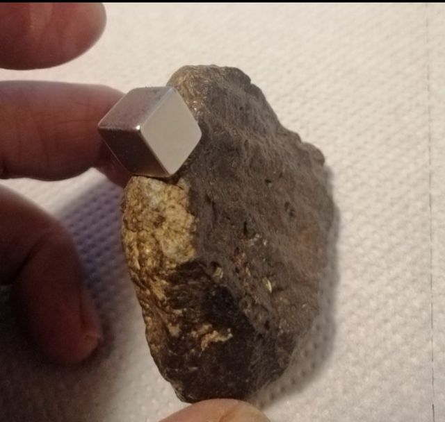 Meteorite Condrite brecciata NWA 869 L3-6