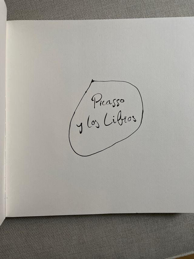 Picasso y los Libros (Bancaja)