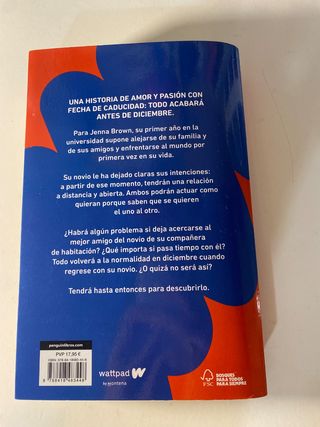 Antes de diciembre (edición revisada por la autora) (Meses a tu lado 1)