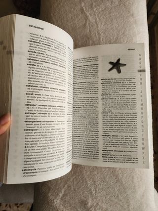 Diccionario Valenciano