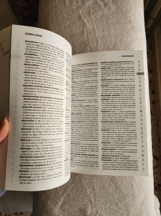 Diccionario Valenciano