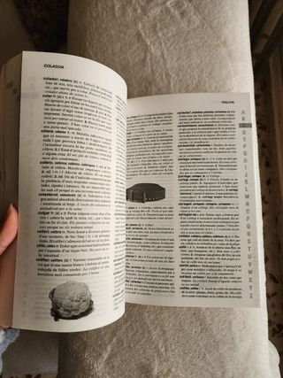 Diccionario Valenciano