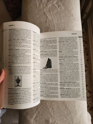 Diccionario Valenciano