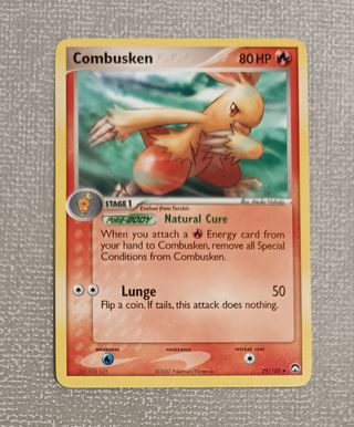 Pack cartas Pokémon Torchic - Combusken