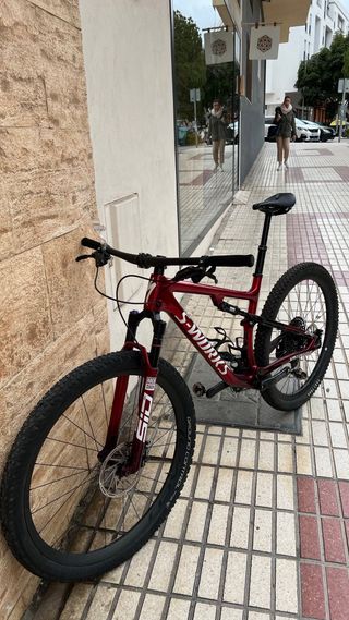 Specialized epic sworks