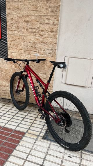 Specialized epic sworks