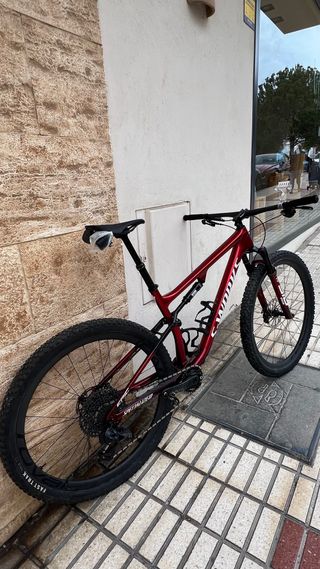 Specialized epic sworks