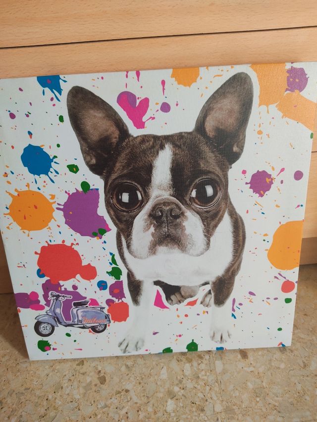 Cuadro bulldog