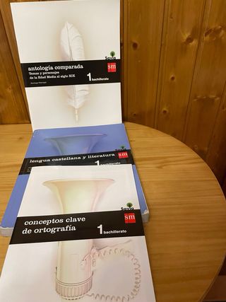 Lengua Casteñana y Literatura