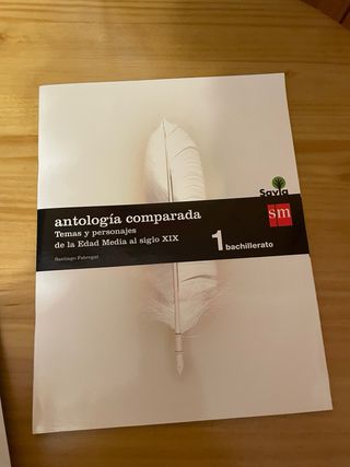 Lengua Casteñana y Literatura