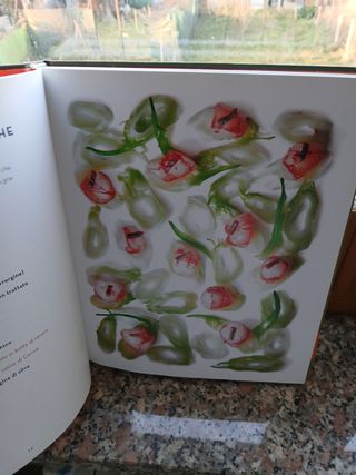 Missione leggerezza. Le ricette, i segreti e le passioni del vincitore di Masterchef