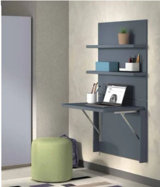 LITERA EN L EVOLUTION F208