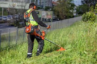JARDINERÍA, PAISAJISMO Y GESTION AGROFORESTAL