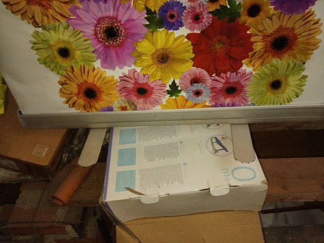 Roll-up. e fotografos