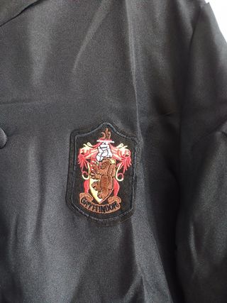 Disfraz Harry Potter adulto