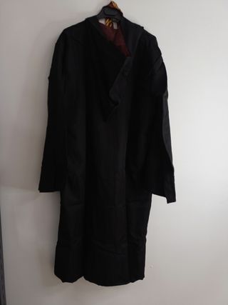 Disfraz Harry Potter adulto