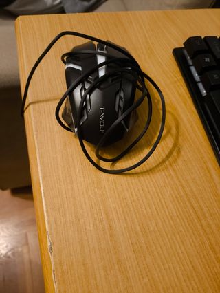 Mouse rgb T-Wolf