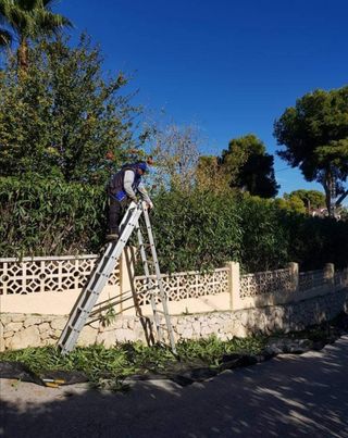 Jardinero Económico 