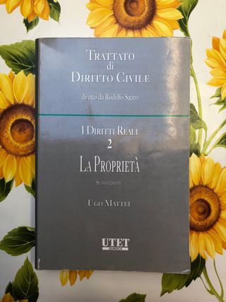 Trattato di diritto civile, I diritti reali 2