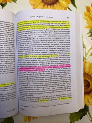 Trattato di diritto civile, I diritti reali 2